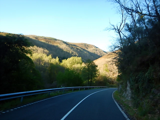 DSCN0195 DSCN0195