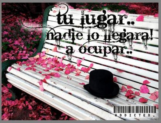 thu luwar nadie lo iewara a okupar guztavo0 te AMO thu luwar nadie lo iewara a okupar guztavo0 te AMO