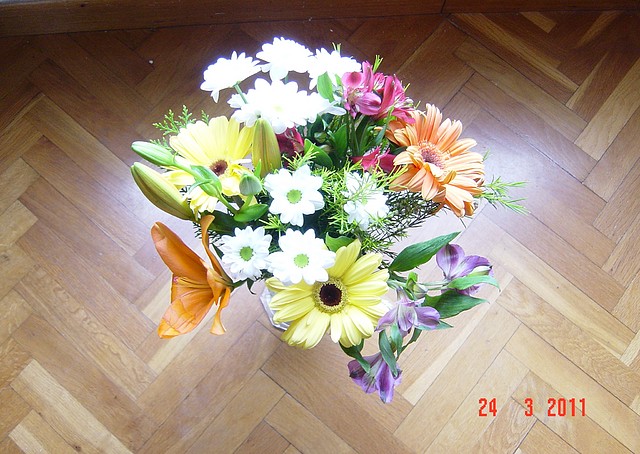 DSC04181 DSC04181