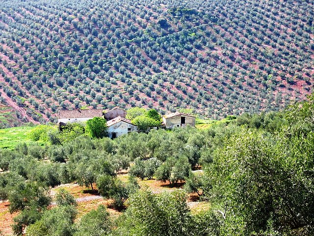 cortijada de El Villar