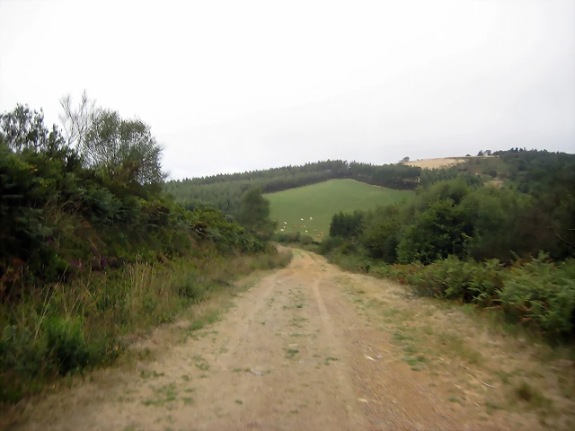 IMG_0230 IMG_0230