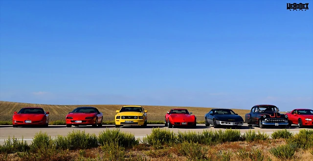 DSC_0682 DSC_0682