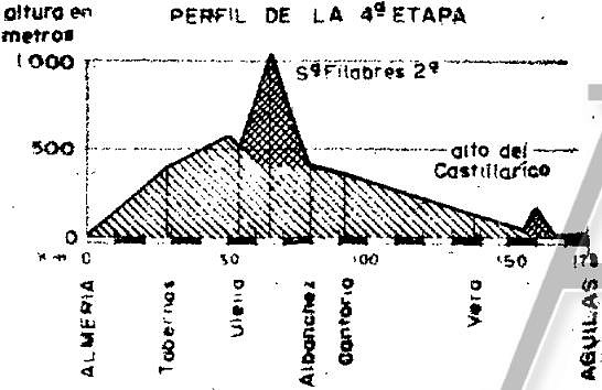 perfil aguilas