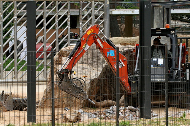 Zoo de Barcelona 14-04-11 294 Zoo de Barcelona 14-04-11 294