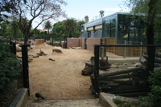 Zoo de Barcelona 14-04-11 379 Zoo de Barcelona 14-04-11 379