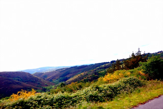 DSCN5216 DSCN5216