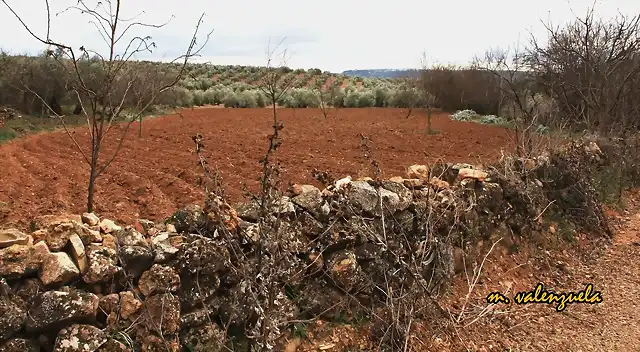 05, la tierra preparada 1, marca