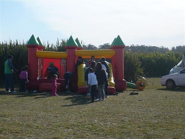 P1110563 (Small)