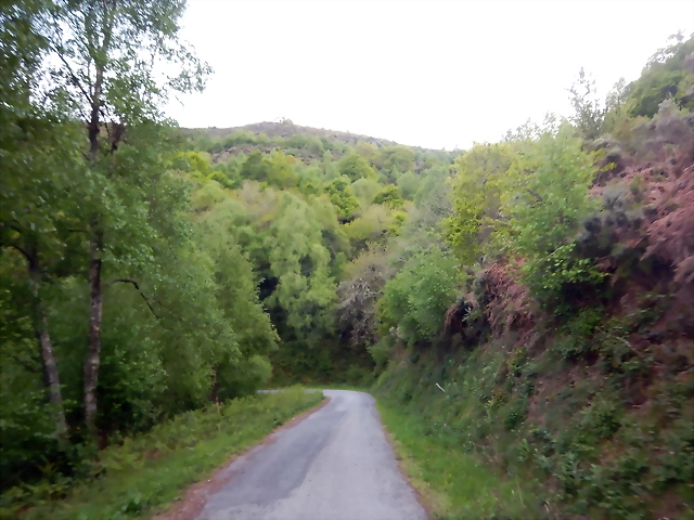 DSCN2148 DSCN2148