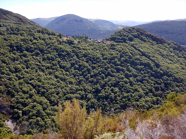 DSCN1535 DSCN1535