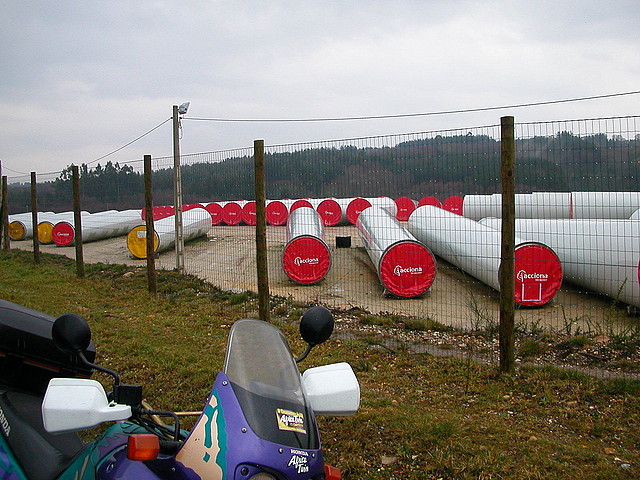 DSCN5575 DSCN5575