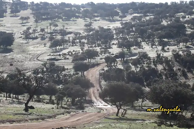 07, la sierra con las primeras luces, marca