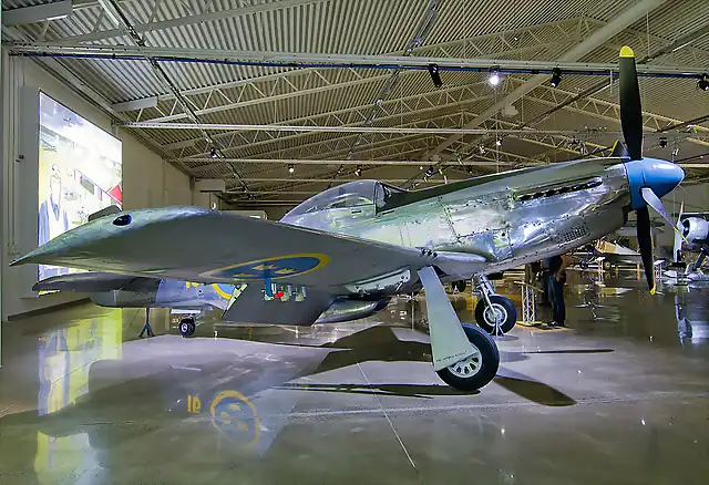 p51denexhibicinenelmuse