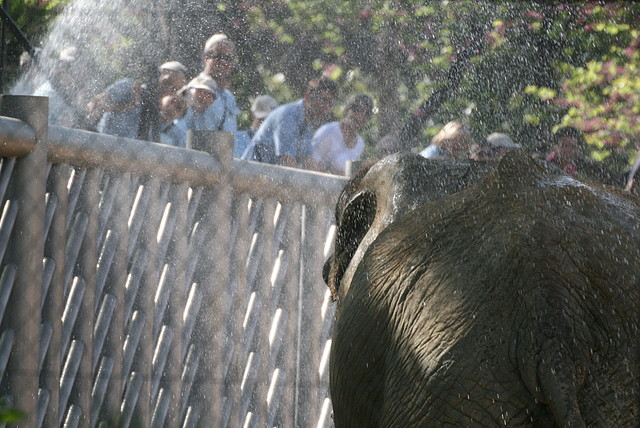 Zoo de Barcelona 09-04-11 028 Zoo de Barcelona 09-04-11 028