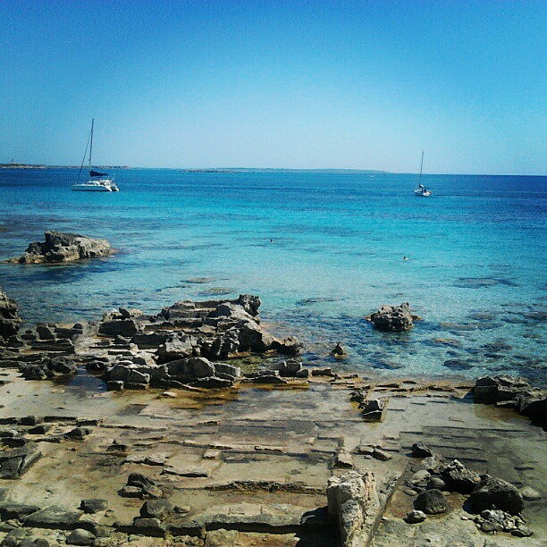 salinas salinas