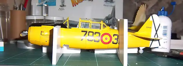 T-6 (71)