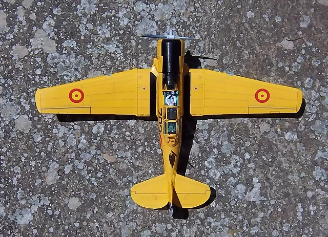 T-6 (81) T-6 (81)