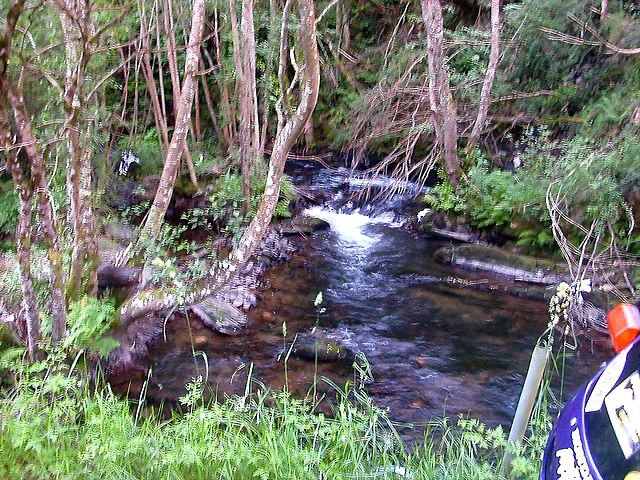 DSCN4087 DSCN4087