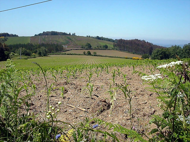 DSCN3996 DSCN3996