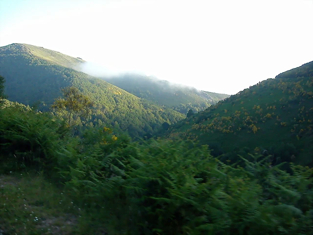 DSCN4131 DSCN4131