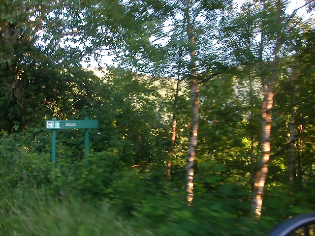 DSCN4133 DSCN4133
