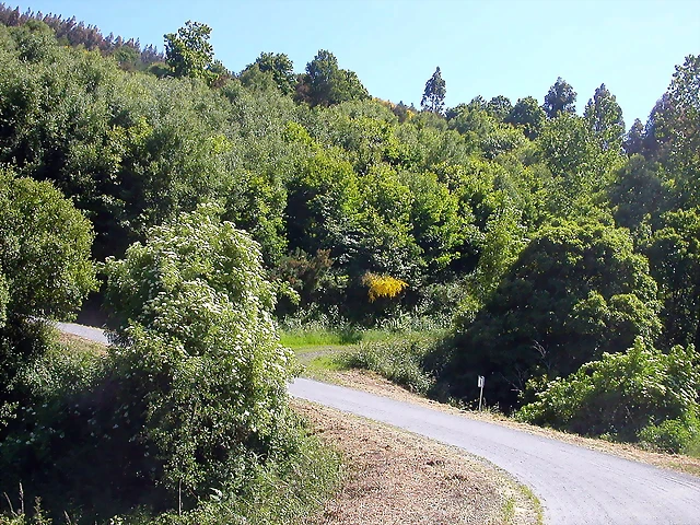 DSCN4012 DSCN4012