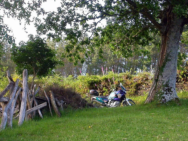 DSCN4099 DSCN4099