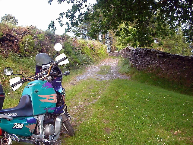 DSCN4102 DSCN4102