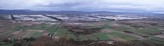 Antela_inundada Antela_inundada