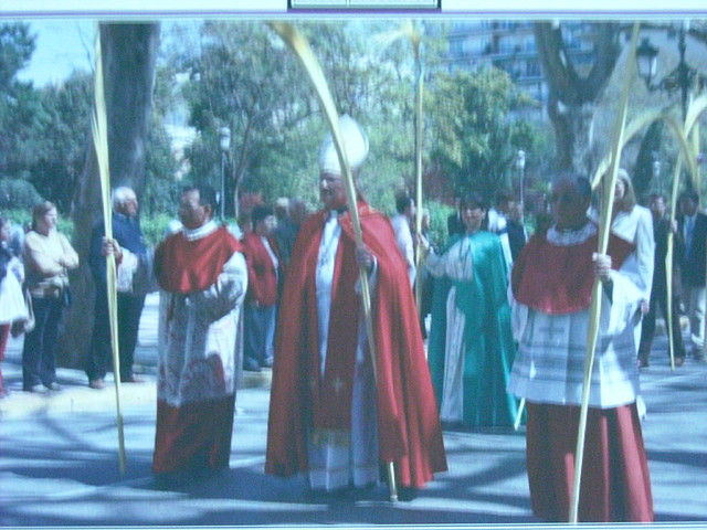 CANONIGO 329 CANONIGO 329