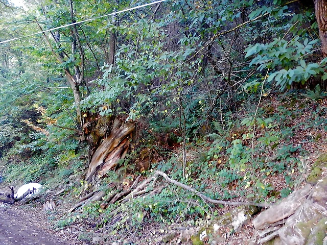 DSCN9172 DSCN9172
