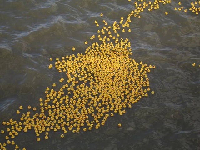 ozono21 Patitos en el MAR