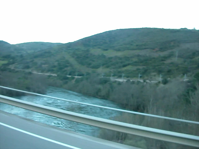 DSCN8118 DSCN8118