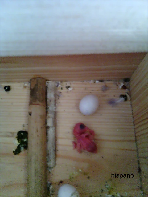 Imagen 001