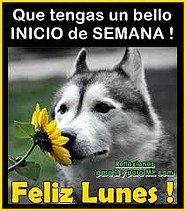 lunes lunes