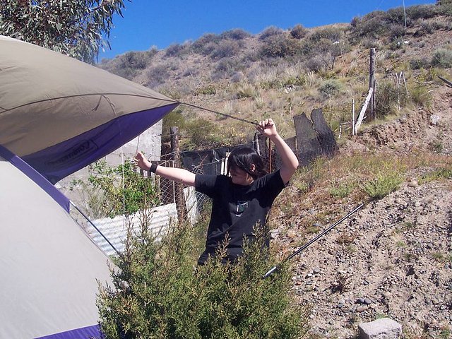 Armando la Carpa