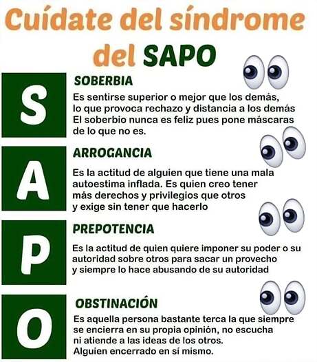 sapo24-1