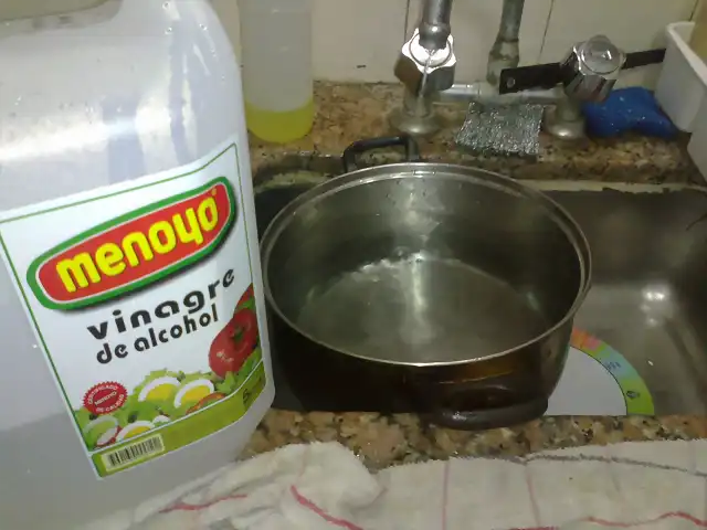 lavado de berenjenas