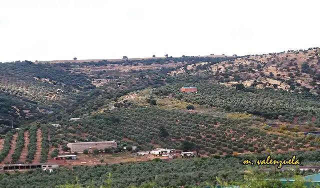 01, la loma del pino, marca