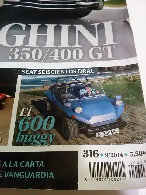 buggy 7