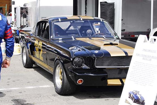 Ford Shelby Mustang Trans-Am 02