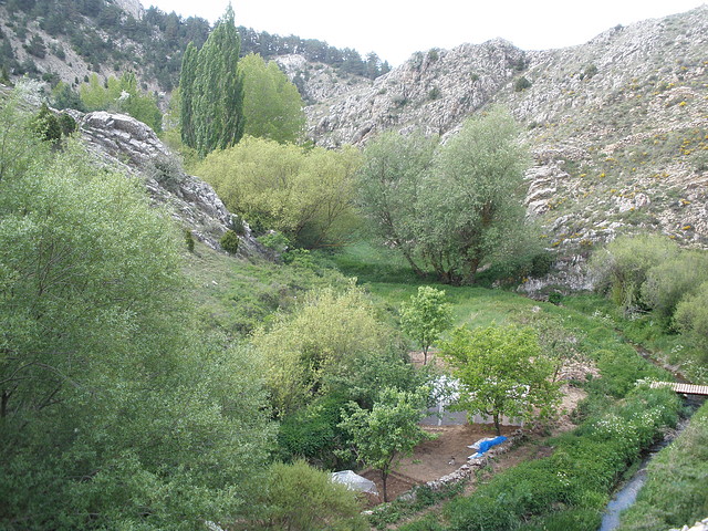 P5220370