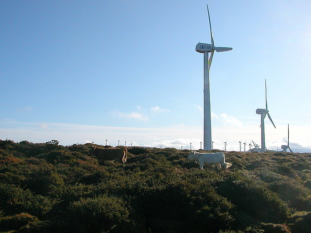 DSCN9060 DSCN9060