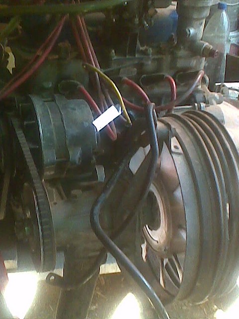 Lateral motor_4 Lateral motor_4