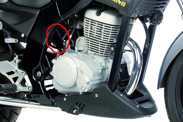 motor motor