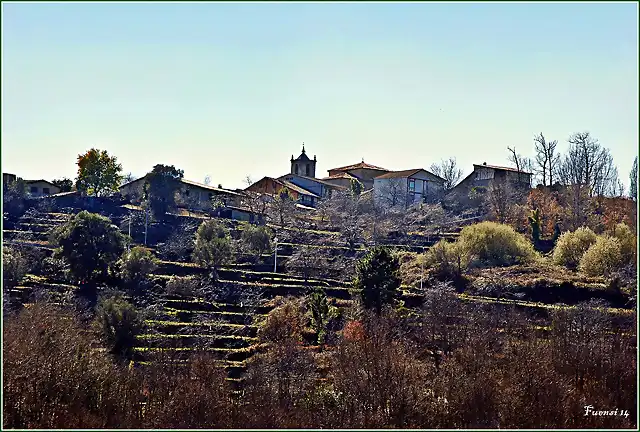 Camino del Agua. Mogarraz Monforte 8 marzo 14 (227)