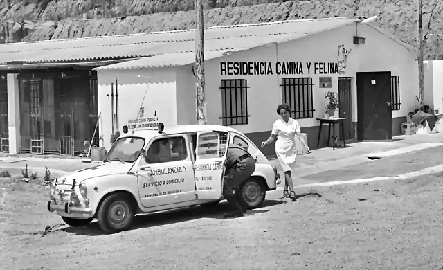 Sant Feliu de Guixols Girona 800  rancio (2)