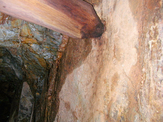 DSCN9619 DSCN9619