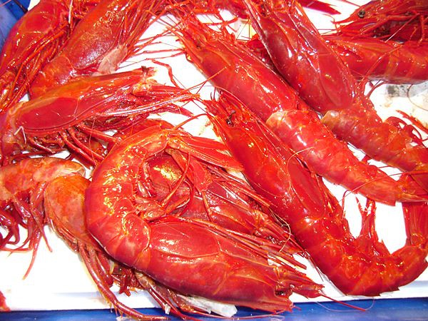 Carabineros