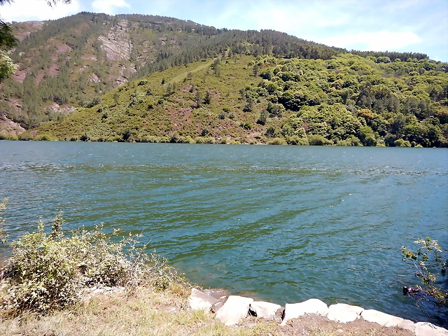 DSCN1453 DSCN1453